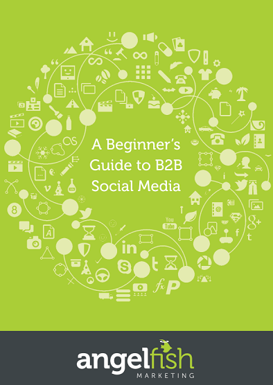 b2b social media angelfish marketing cover b2b social media angelfish marketing cover