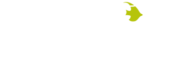 Angelfish Marketing