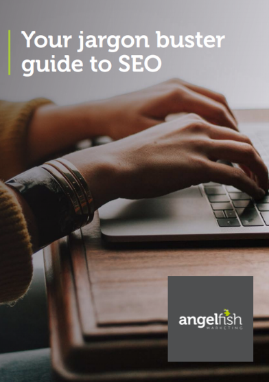 seo jargon busting cover angelfish marketing-1