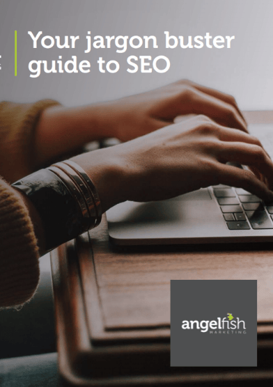 seo jargon busting cover angelfish marketing