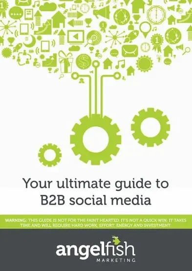 ultimate b2b social media guide cover angelfish marketing